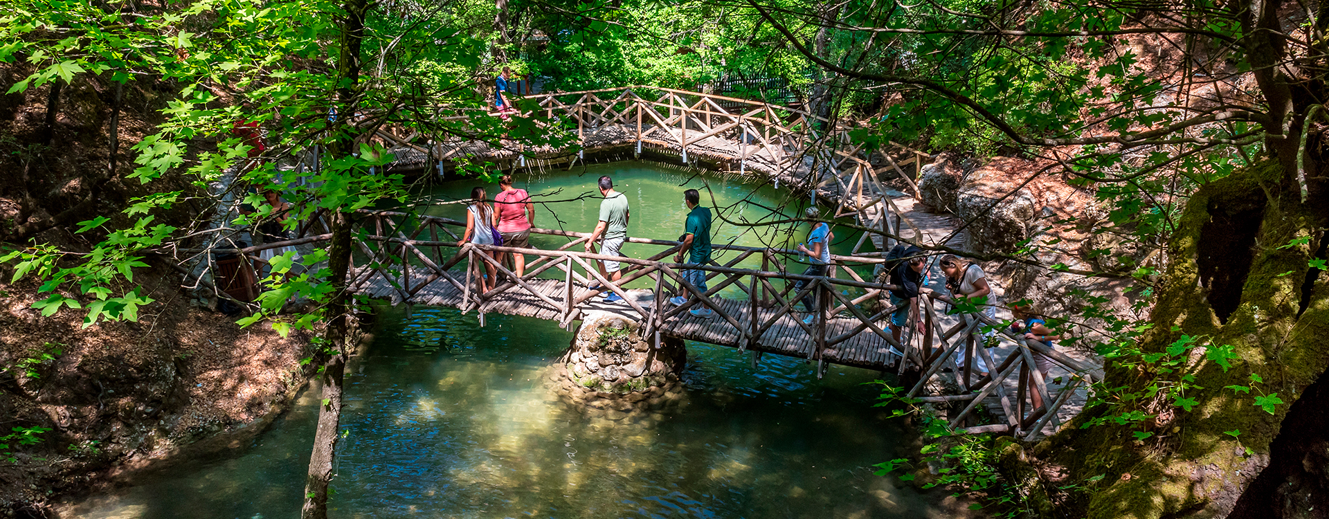 Πεταλούδες